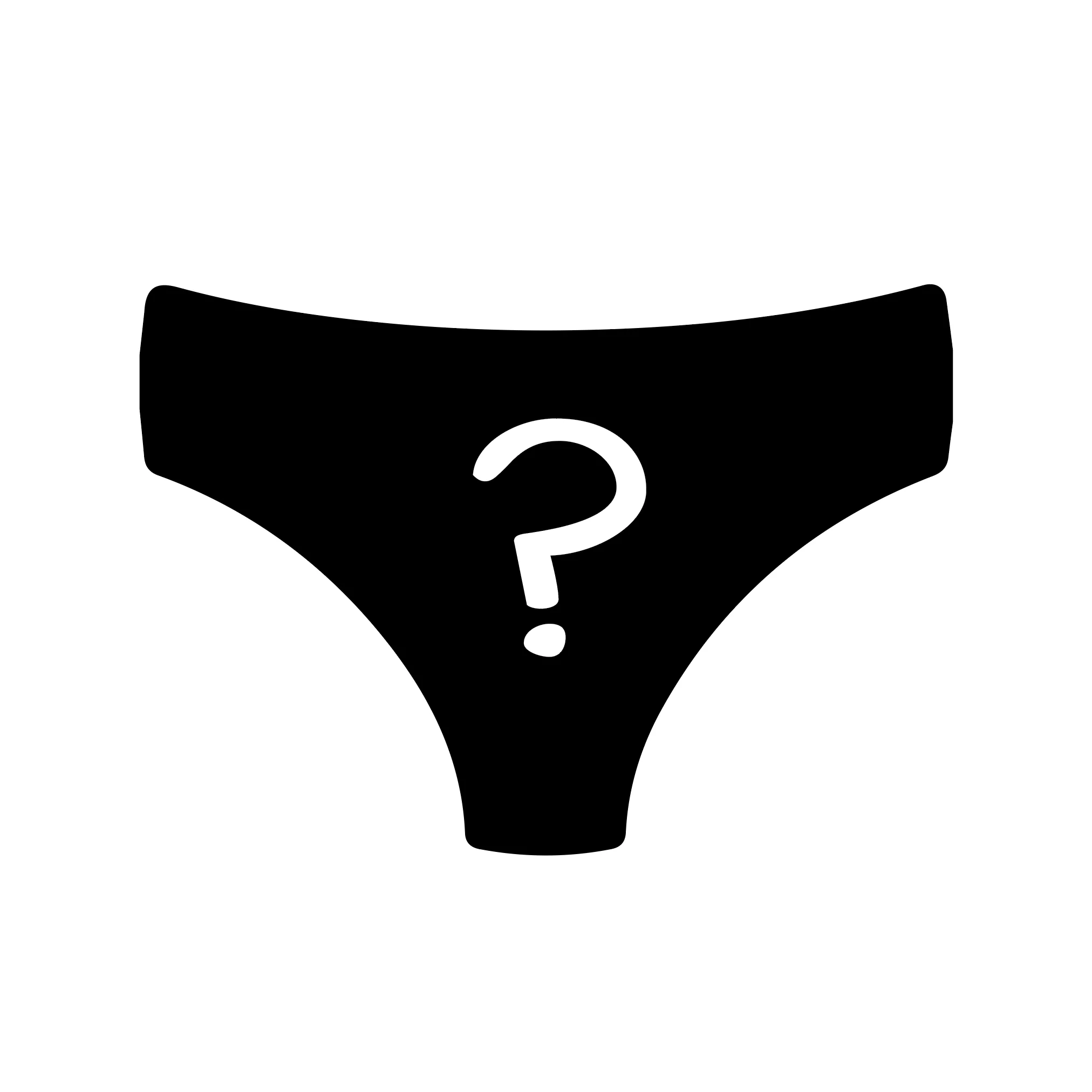 Women's Plain Brief Knickers Subscription - Monthly (Free Socks + Free Delivery!) - Image 5