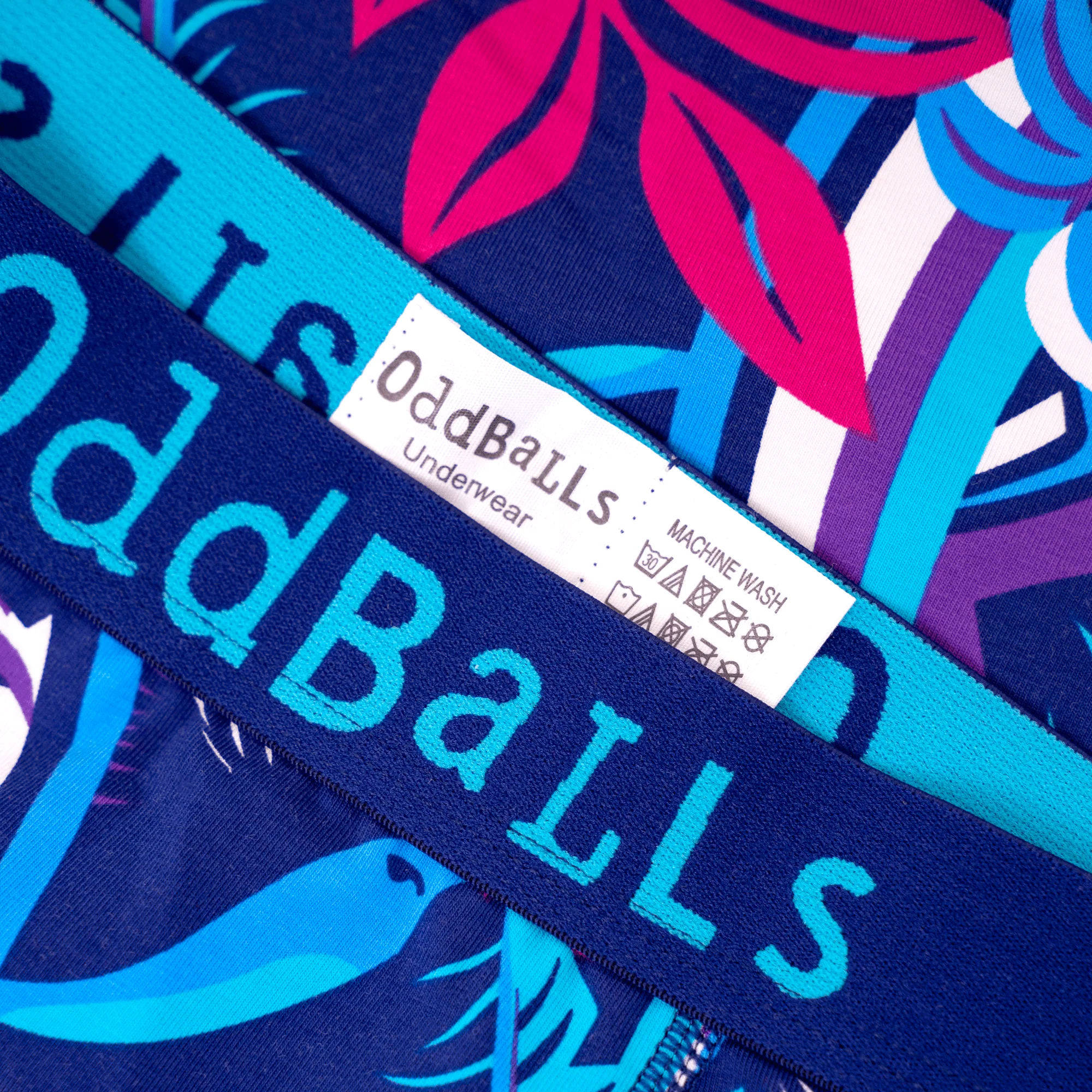 Toucan - Ladies Briefs - Image 3